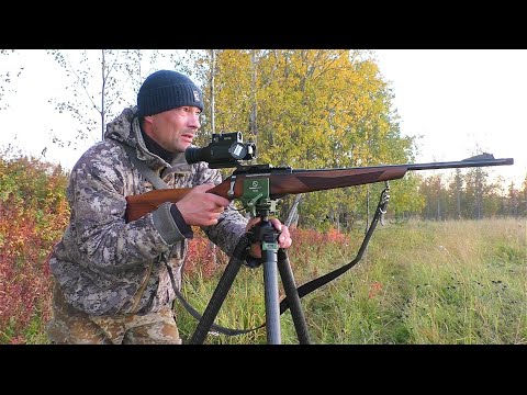 ОХОТА НА ЛИСУ В ПОЛНОЙ ТЕМНОТЕ / КАРАБИН ЛОСЬ 145+ТЕПЛОВИЗОР REDRAY REM 335R / ВЫШЛИ СРАЗУ ДВЕ лисы
